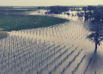 California Farmers Lose BILLIONS as Atmospheric River Rain Storms Continue – “We’ve Lost EVERYTHING”