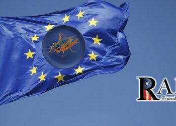 Rejection of Globalism: Hungary and Italy Pass Laws to Protect Citizens from Insect Use in Food