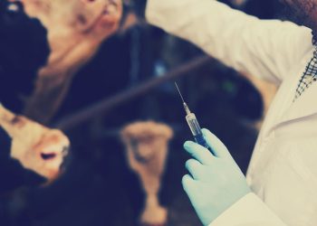 Cow mRNA Vaccine