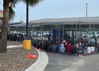 Kids in Cages