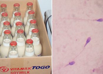 Soy Consumption Linked to Low Sperm Count in New Study
