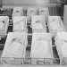 The War on America’s Babies