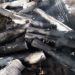 DANGEROUS LIES: East Palestine, Ohio Residents Initially Told That Derailed Train Contained Only Malt Liquor