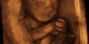 Maine Committee Passes Bill to Legalize Abortions Up to Birth