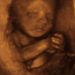Maine Committee Passes Bill to Legalize Abortions Up to Birth