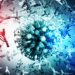 Nearly Everyone in US Has Covid Antibodies