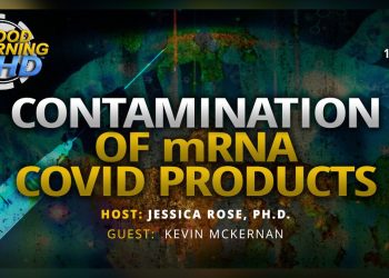 Contaminated Covid Products and Green Monkey Virus