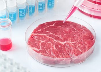 Lab-Grown Beef