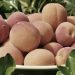 U.S. Food Production Has Taken a Very Dangerous Turn in the Wrong Direction
