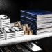 Don’t Let Government, Banks, or Other Gold Companies Talk You Out of Keeping Precious Metals at Home
