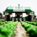 RoboCrops: AI-Powered, Laser-Wielding Farming Machines Are Popping Up Everywhere