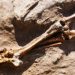 Would the Discovery of Sodom and Gomorrah Cause People to Repent?