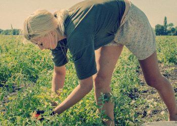 STUDY: Farming Sector of Ukraine, the “Breadbasket of Europe,” Won’t Recover for at Least 20 Years