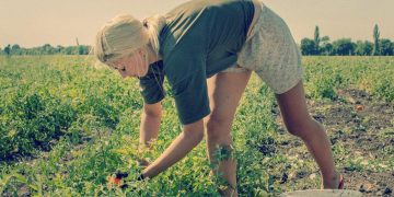STUDY: Farming Sector of Ukraine, the “Breadbasket of Europe,” Won’t Recover for at Least 20 Years