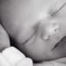 New Data Proves Abortion Bans are Saving Babies From Abortions