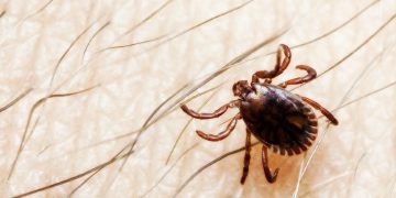 Plandemic 2.0? British Government Sounds Alarm Over Alleged Spread of New Killer Virus in Europe