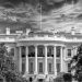 IT WAS COCAINE: White Trash Living in the White House