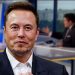 Elon Musk Fox News