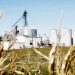 The Stupidity of Ethanol as “Green” Energy