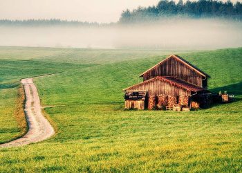 Prepping for Collapse, Famine and Nuclear War: 12 Tips That Will Help You Be More Resilient When SHTF