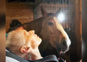 79-Year-Old Woman’s Dying Wish Fulfilled As Carers Bring Her to See Her Beloved Horse One Last Time