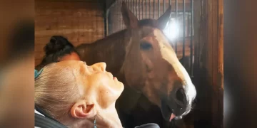79-Year-Old Woman’s Dying Wish Fulfilled As Carers Bring Her to See Her Beloved Horse One Last Time