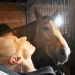 79-Year-Old Woman’s Dying Wish Fulfilled As Carers Bring Her to See Her Beloved Horse One Last Time