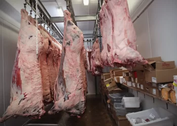 Veteran-Owned ‘Clean Beef’ Beef Company Says It Would Rather Shut Down Than Accept mRNA Injections In Cattle