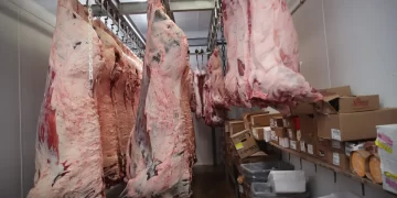 Veteran-Owned ‘Clean Beef’ Beef Company Says It Would Rather Shut Down Than Accept mRNA Injections In Cattle
