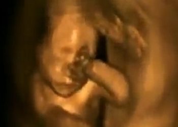 Maine Legislature Passes Bill Legalizing Abortions Up to Birth