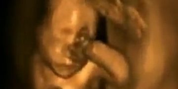 Maine Legislature Passes Bill Legalizing Abortions Up to Birth