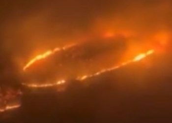 Maui Fire
