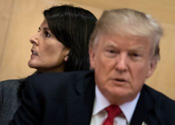 Trump Haley