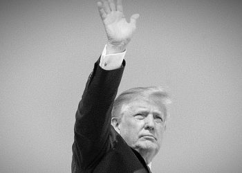Trump Winning