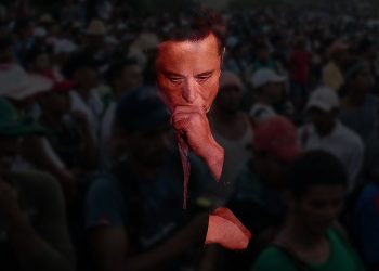 Elon Musk Border