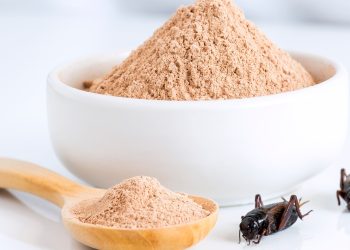 Cricket Protein