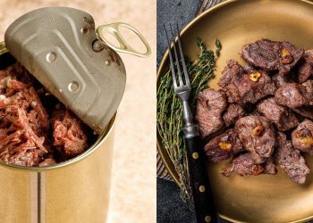 Canned Beef vs Freeze-Dried Beef