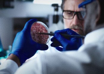 Cultured Meat