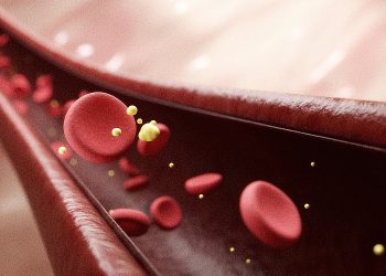 Cholesterol