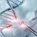 DNA