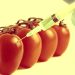 DNA Food