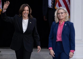 Liz Cheney contacted controversial J6 witness on encrypted app behind lawyer's back, messages show