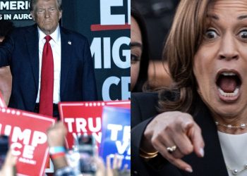 CNN pollster explains why Democrats are 'bedwetting' over newest election numbers