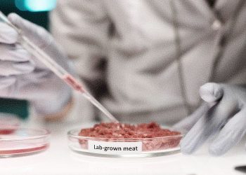 Lab-Grown Meat