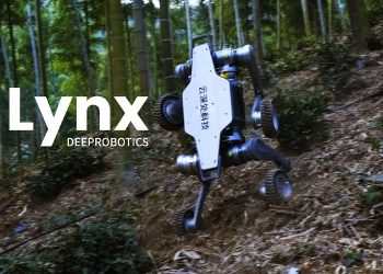 Lynx