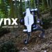 Lynx