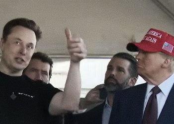 Musk Trump