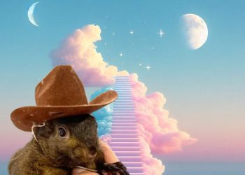 Remember Peanut: A Treatise On Evil And Why The State Killing Of A Squirrel Matters So Much