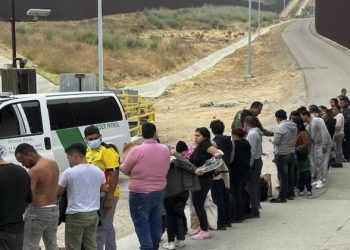 The Case for Mass Deportations
