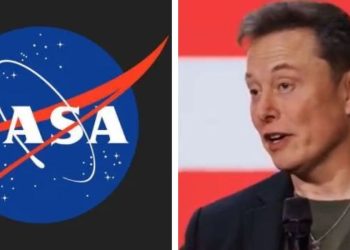 NASA staff encourage Elon Musk to 'clean house,' get agency back on track after massive DEI spend: report